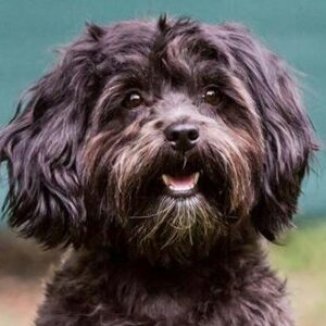 Profilbild von Nickolinchen